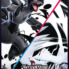 Collection image for: Black Bolt & White Flare